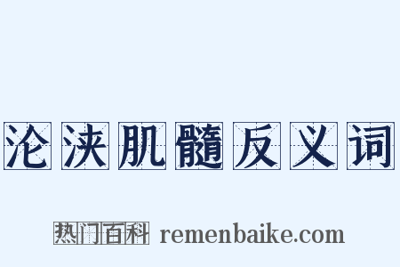 沦浃肌髓反义词是什么意思的图片